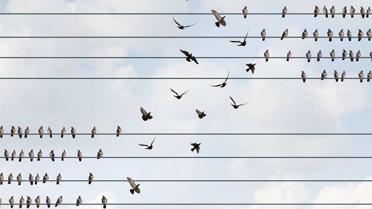 Transforming_operations-management_1536_1536_300_Standard