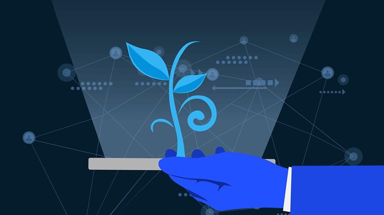 Virtual plants grow on your phone illustration.