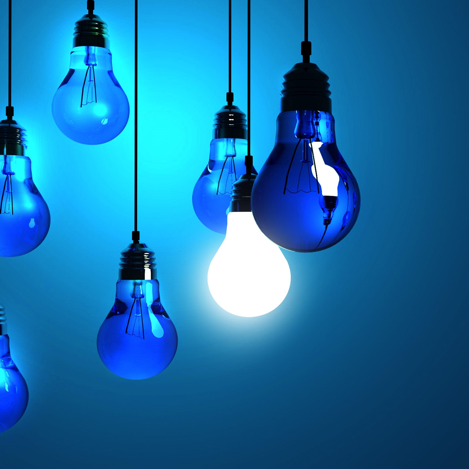 Product Development & Procurement