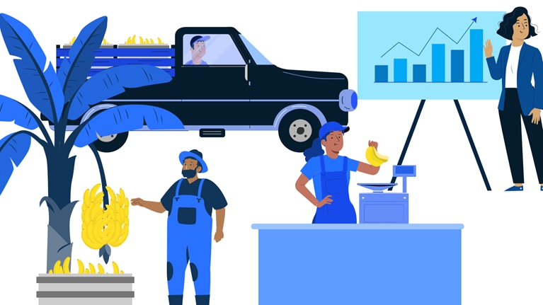 following the banana supply chain from tree to shipping to store to profit report - illustration