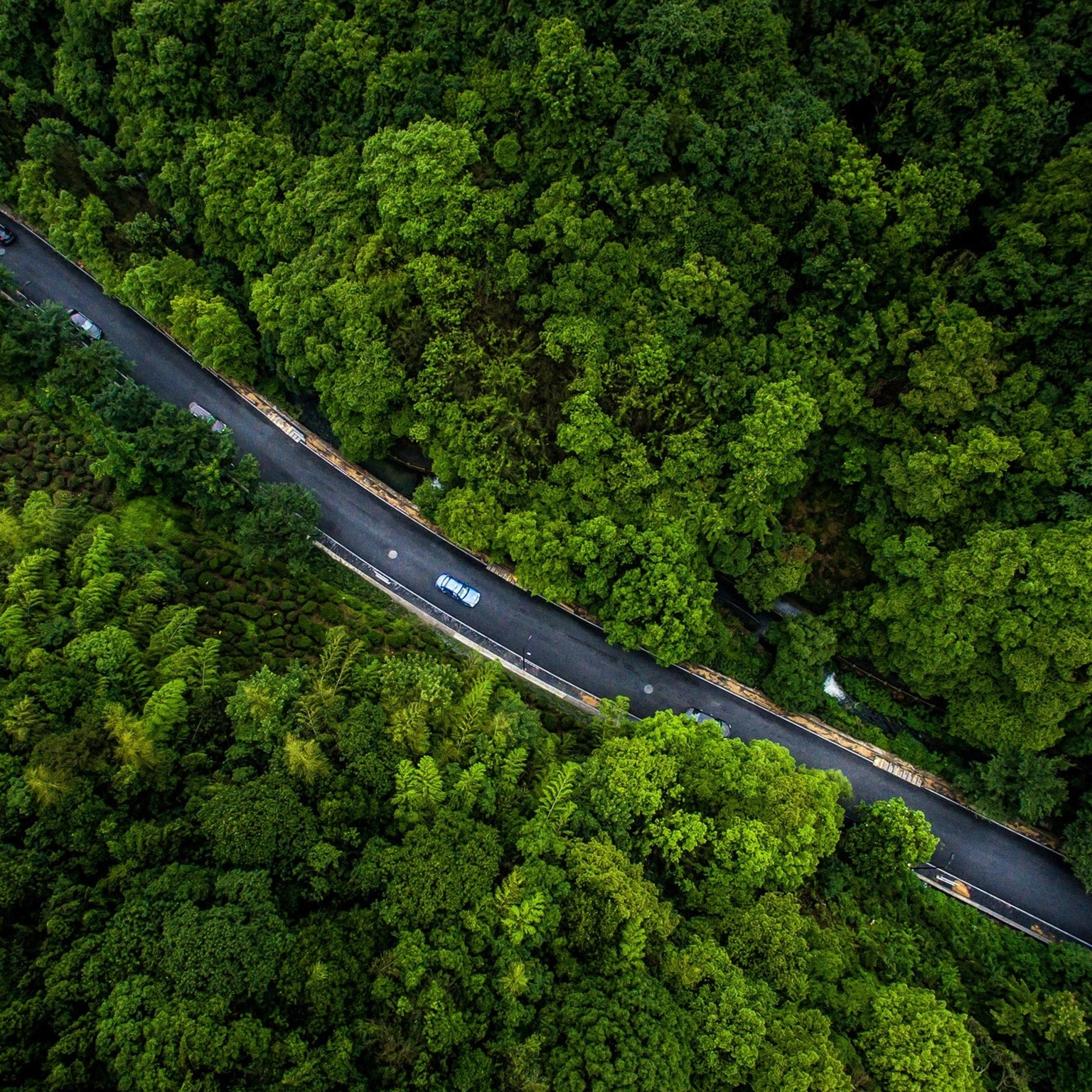 overhead photo of cars driving on road winding through forest