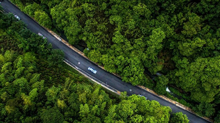 overhead photo of cars driving on road winding through forest