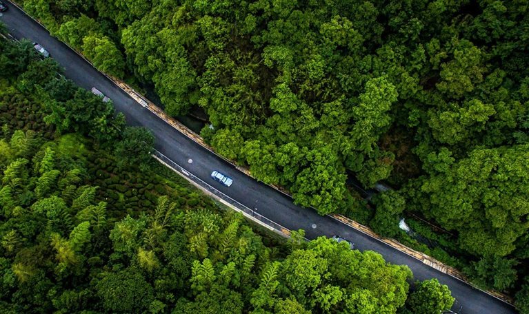 overhead photo of cars driving on road winding through forest