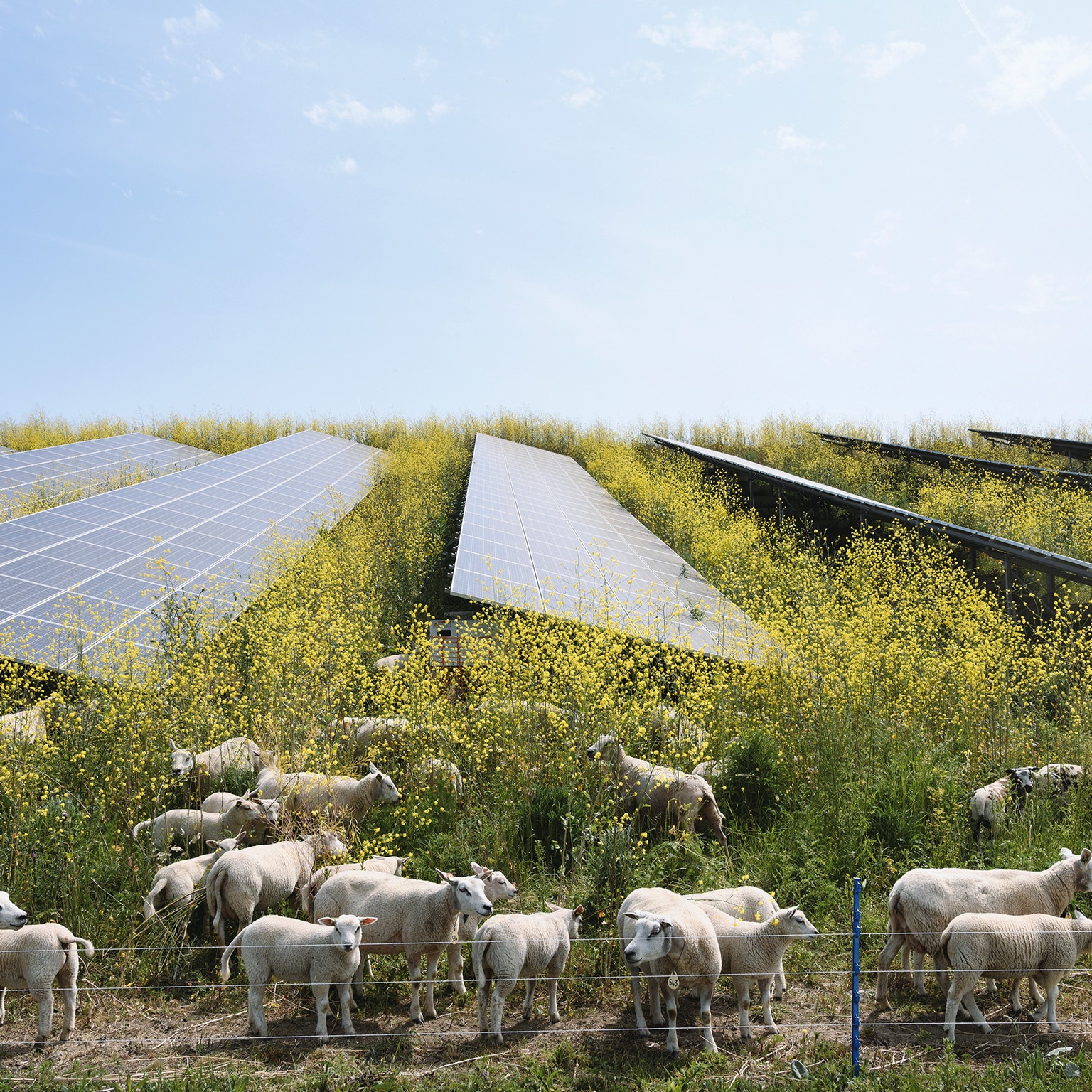 Voices on Infrastructure: Introduction April 2022