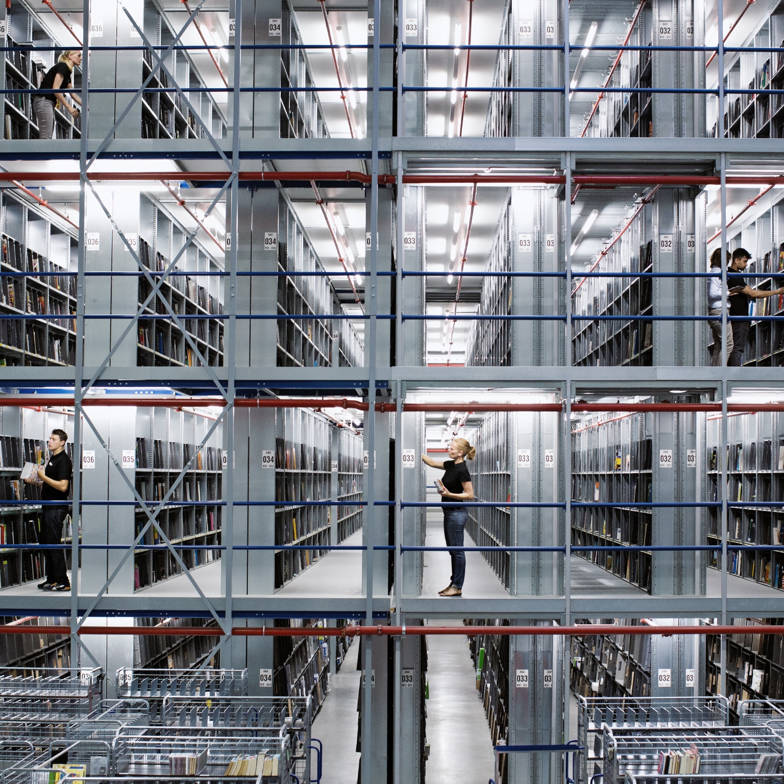 How great supply-chain organizations work