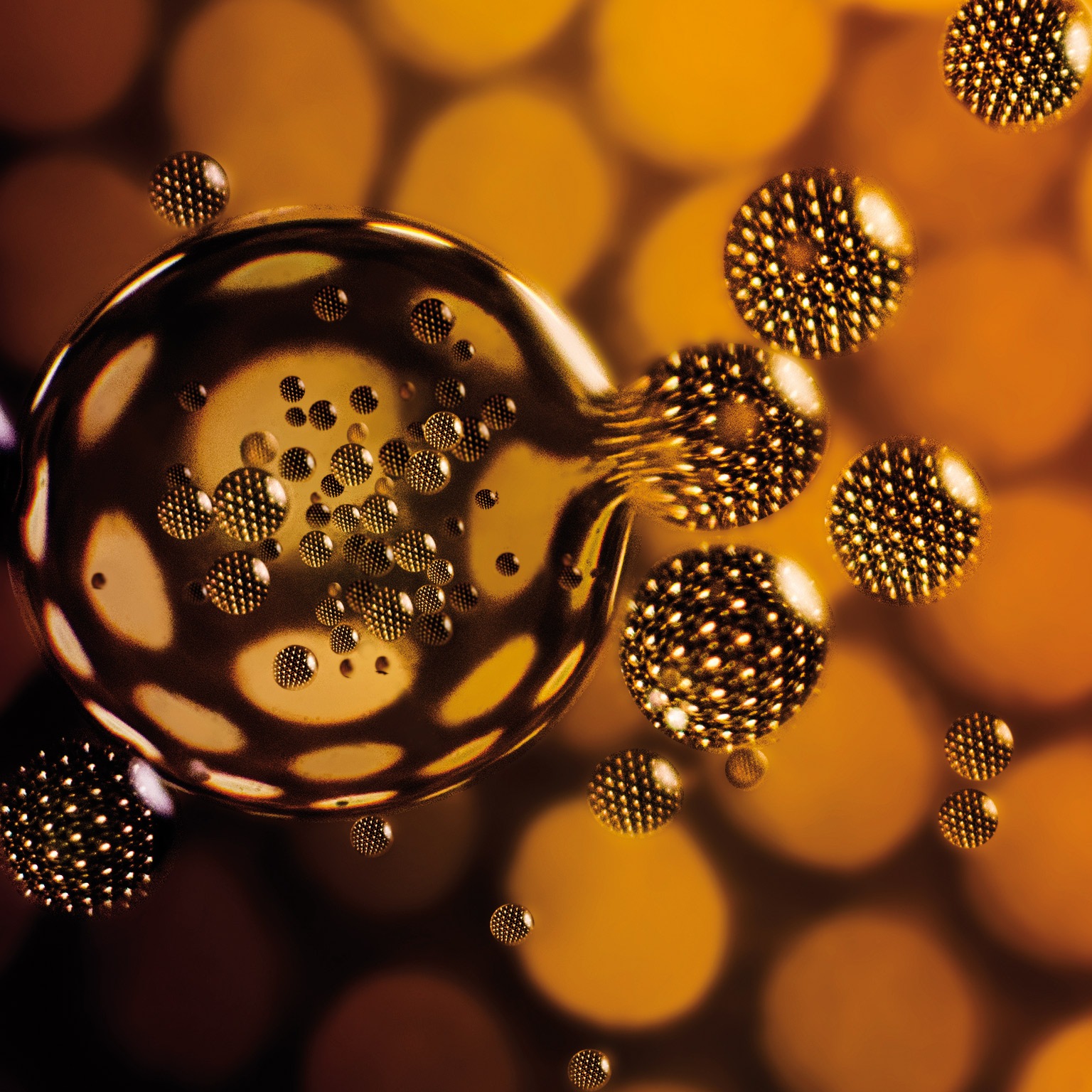 Image_20140603_part_one_seven_levers_corp_bus_func_success_469638083_1