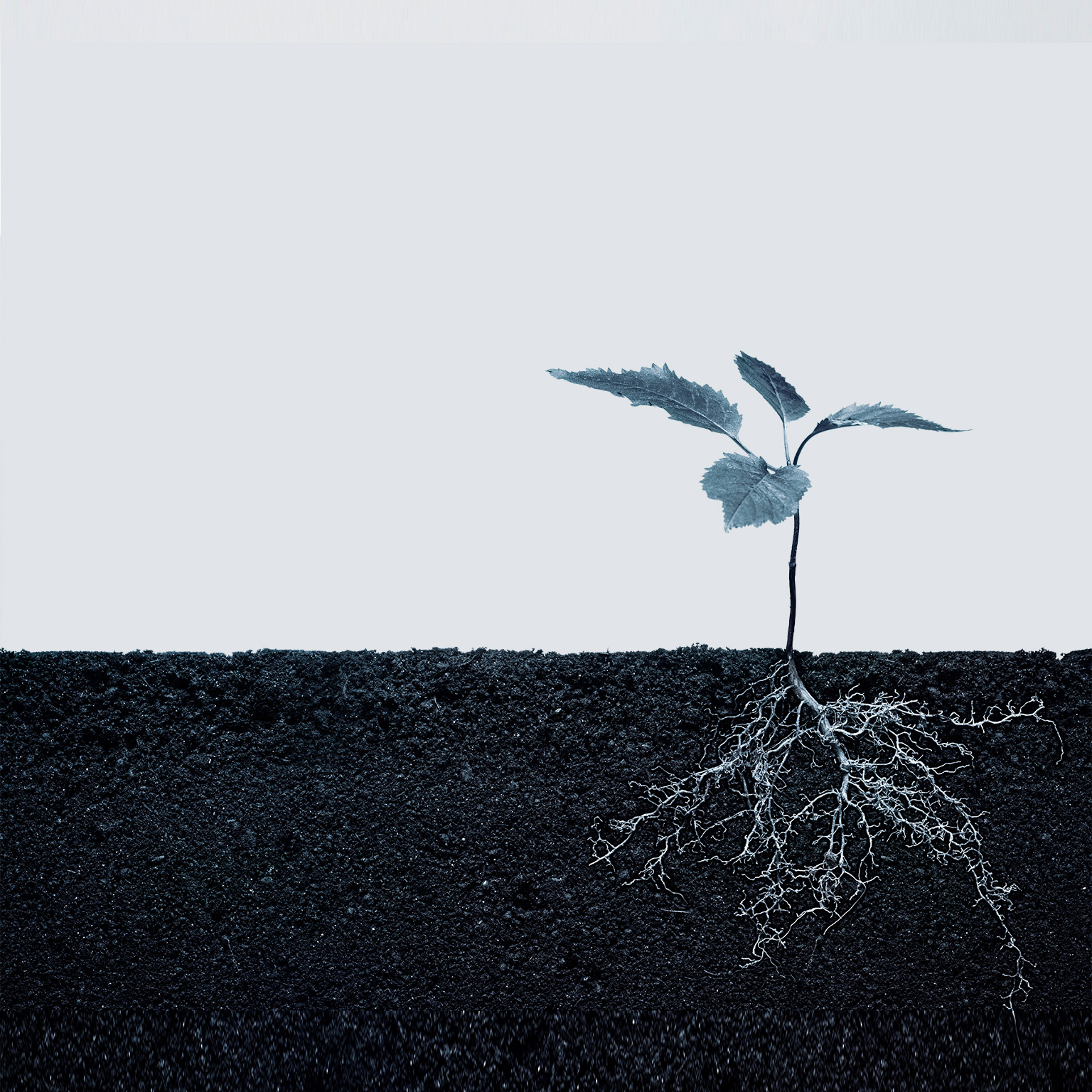 Root-cause problem solving in the Ops 4.0 era