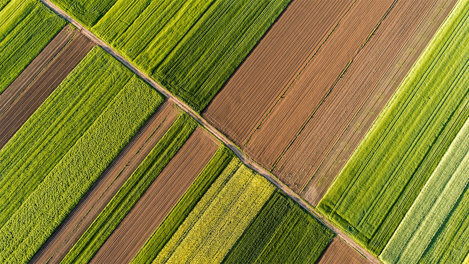 Aerial image of crop fields