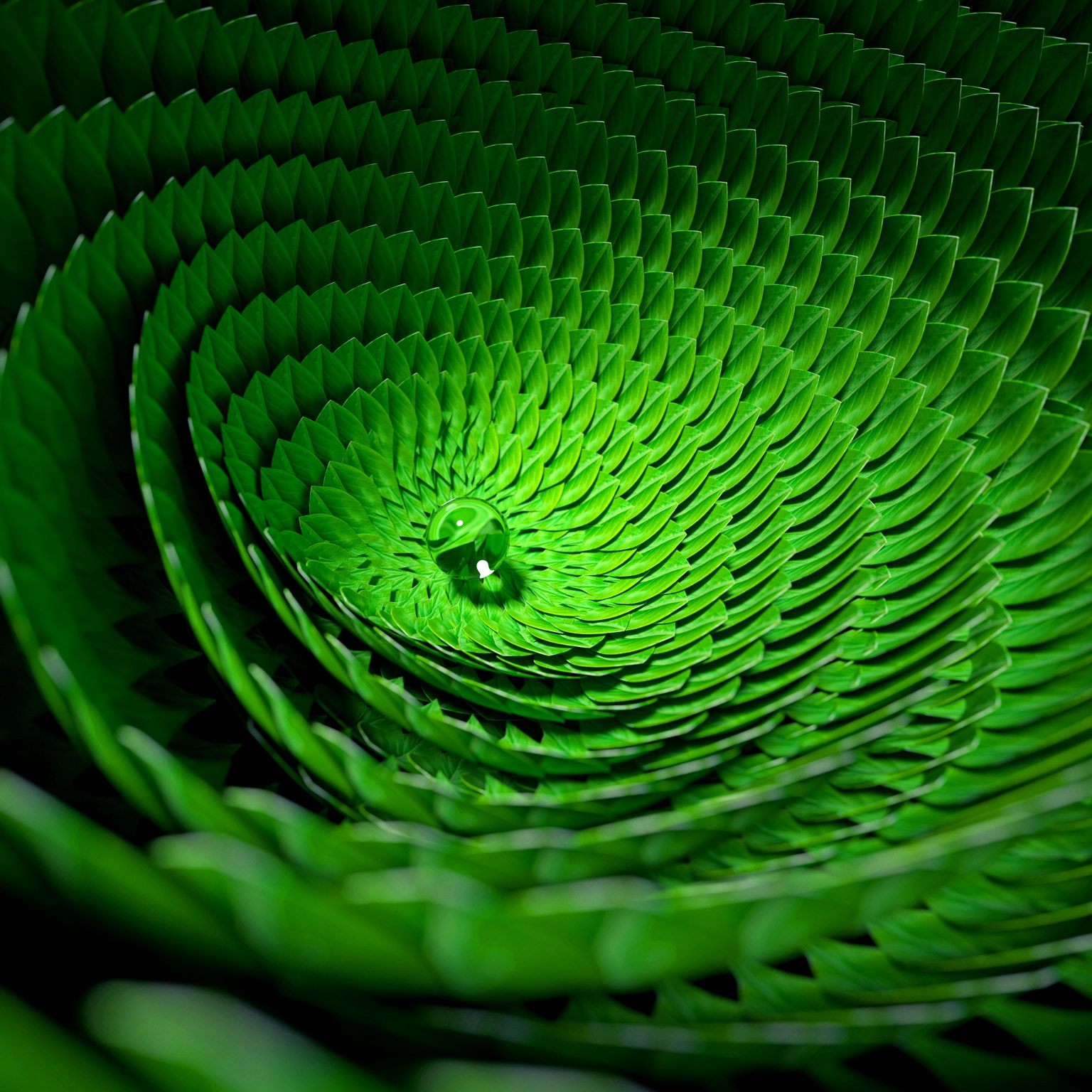 Organic circular pattern made out of green leaves with a dew drop at its center