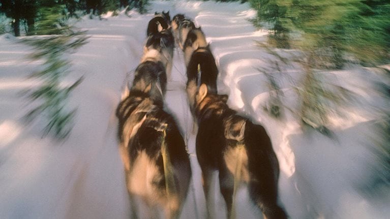 Power-of-collective-action-1536x1536-100 offset_Standard