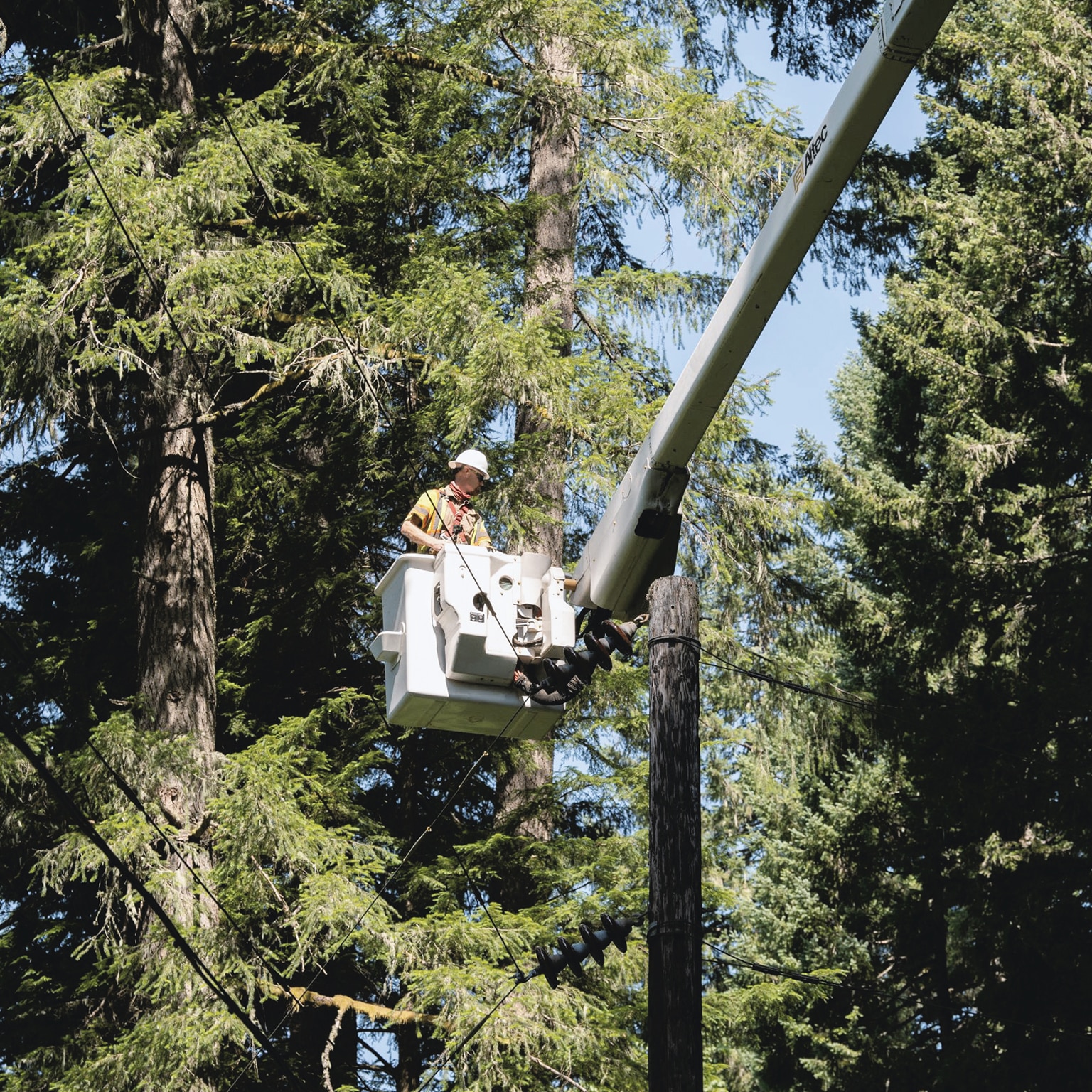 The shifting energy landscape: An interview with Maria Pope