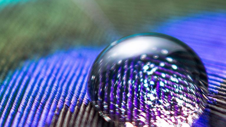 Why you need a CTO—and how to make her successful