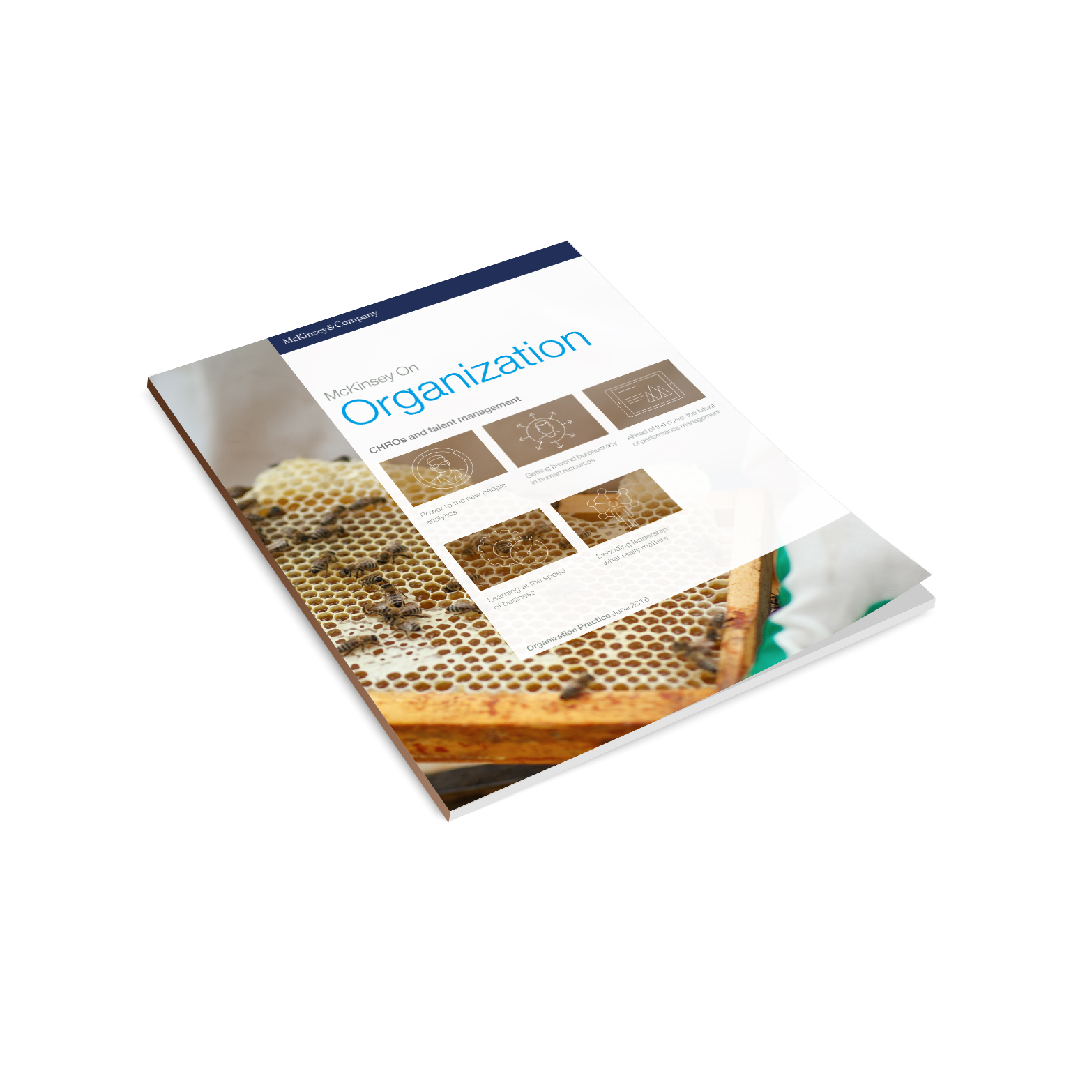 McKinsey on Organization: CHROs and talent management