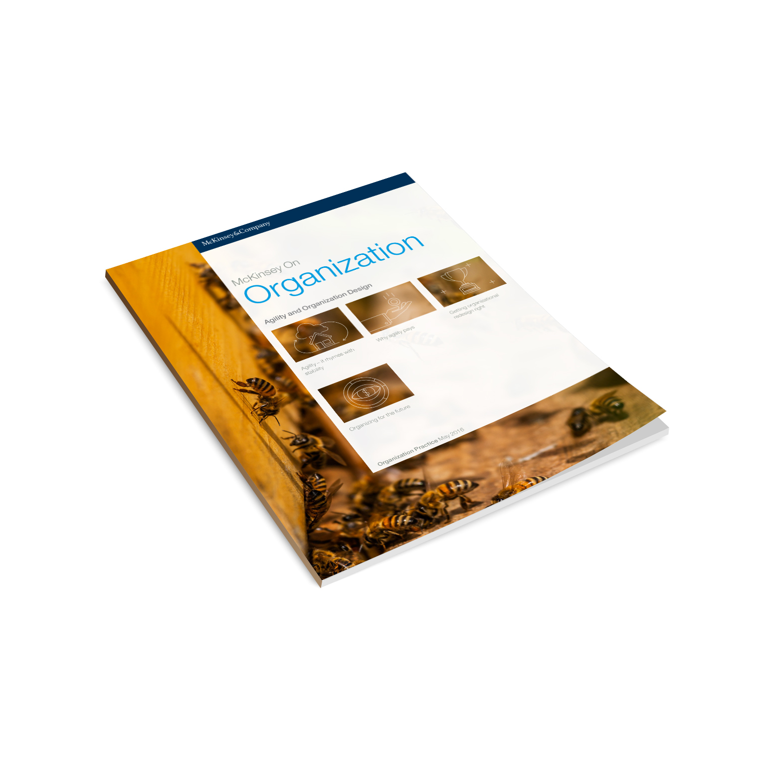 McKinsey on Organization: Agility and organization design