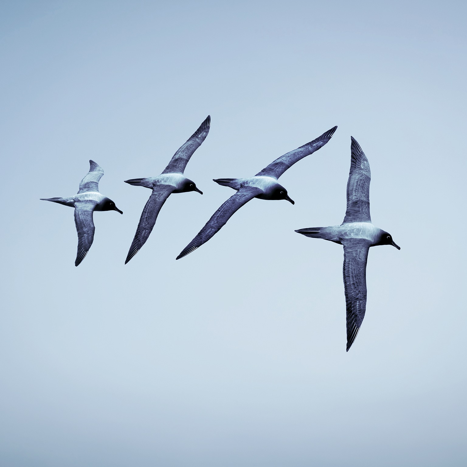 The boss factor: Making the world a better place through workplace relationships