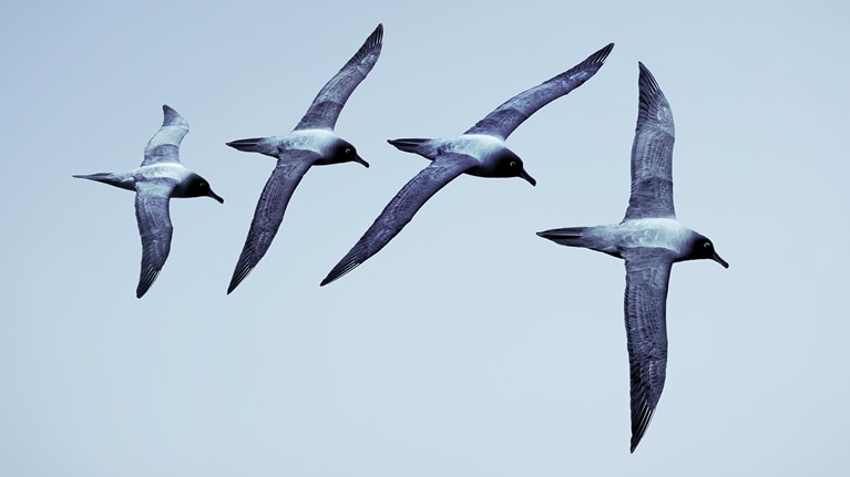 The boss factor: Making the world a better place through workplace relationships