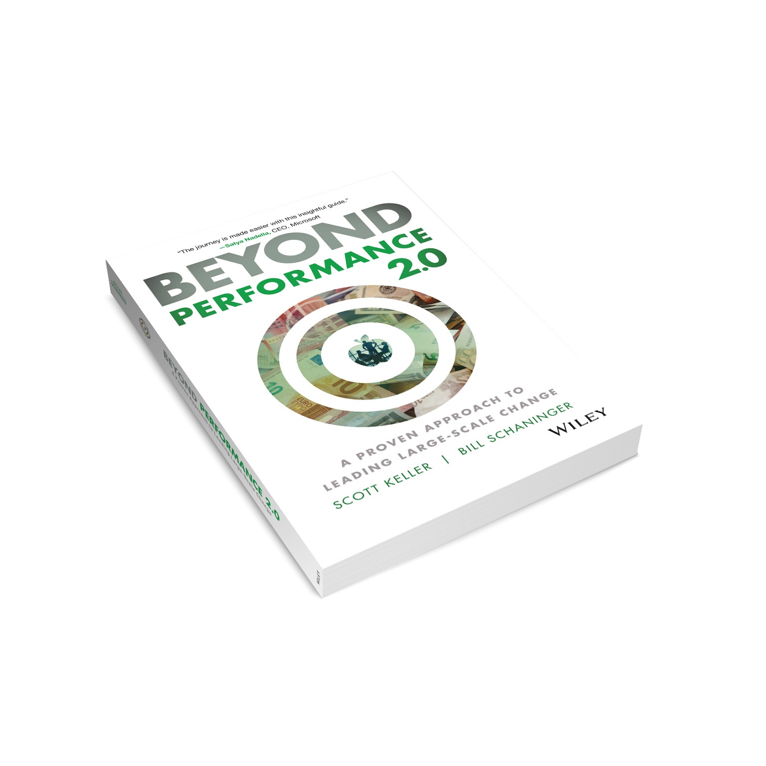 Beyond Performance 2.0: A Proven Approach to Leading Large-Scale Change
