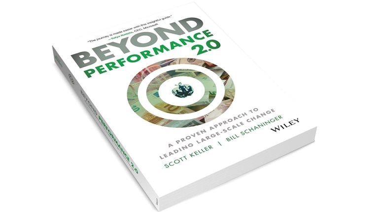 Beyond Performance 2.0: A Proven Approach to Leading Large-Scale Change