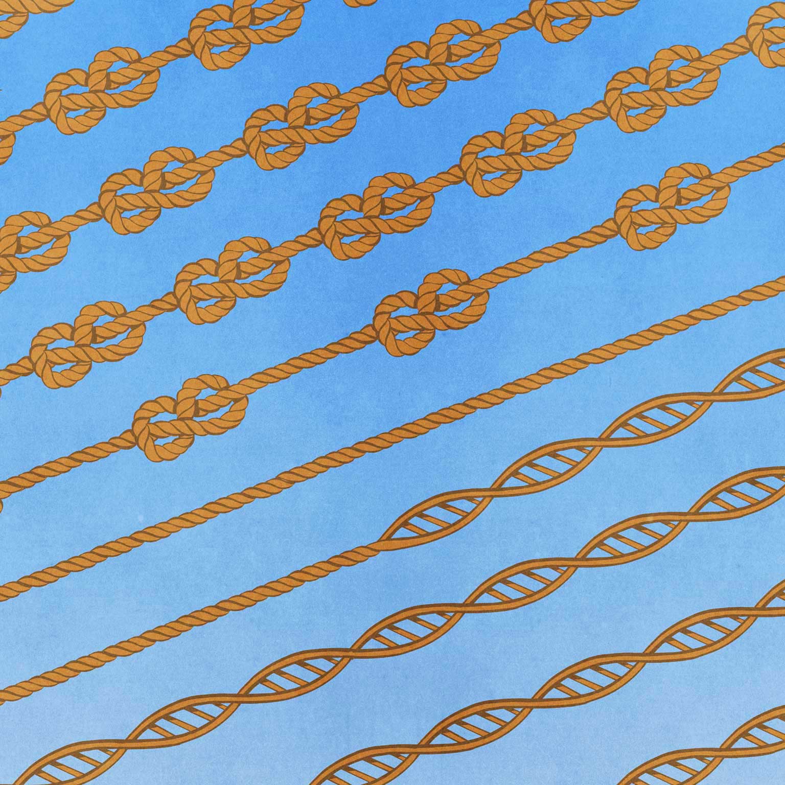 Building the workforce of tomorrow, today