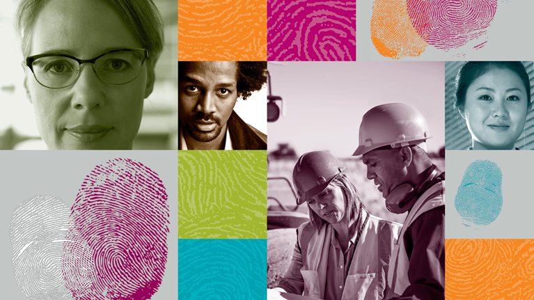 Delivering through diversity