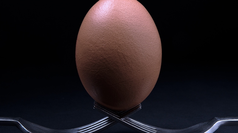 A brown egg balanced on two forks