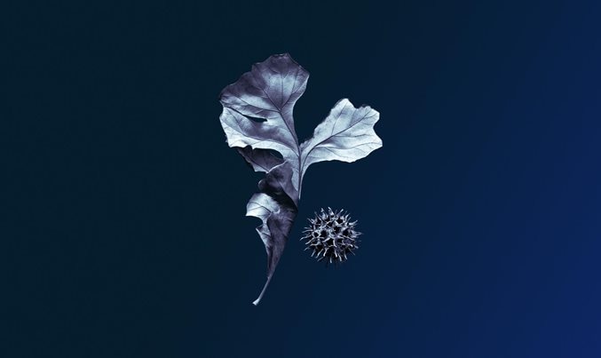Grief Loss Burnout Talking About Complex Feelings At Work Mckinsey Grief Loss Burnout Talking About Complex Feelings At Work Mckinsey