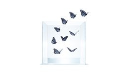 Photo of monarch butterflies flying out of glass jar