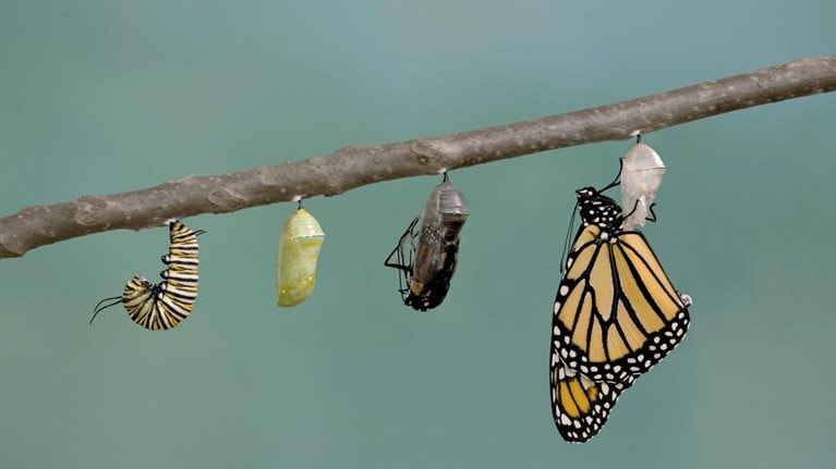 How do we manage the change journey?