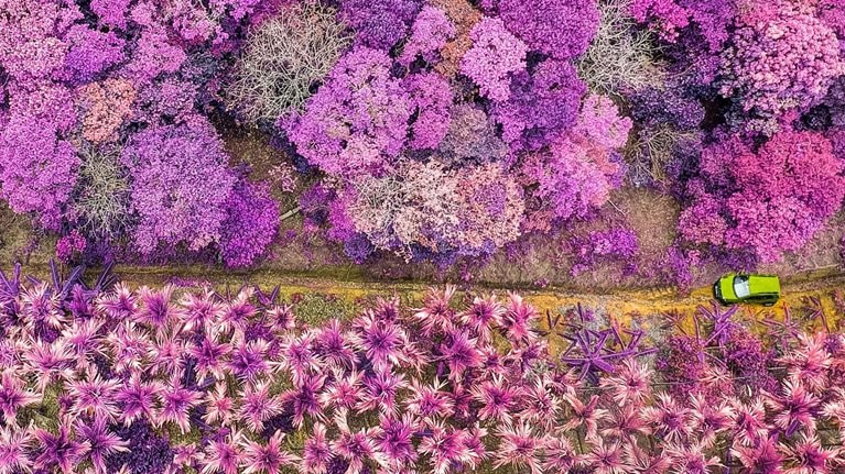 How to select and develop individuals for successful agile teams: A practical guide