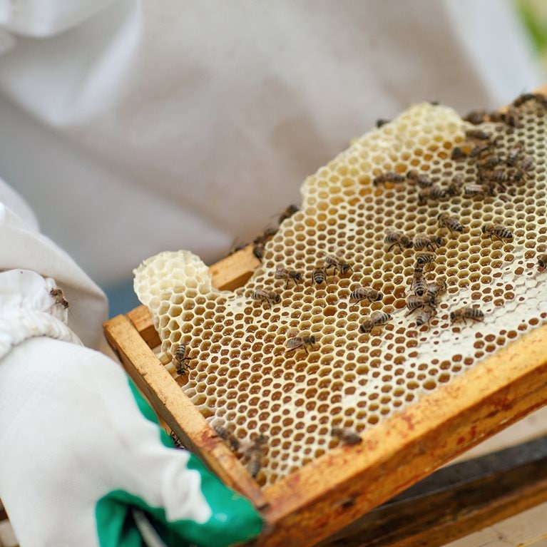 McKinsey on Organization