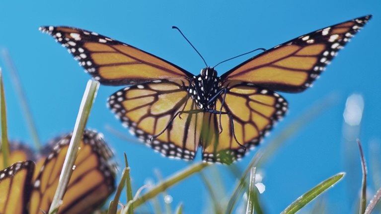 The forgotten step in leading large-scale change