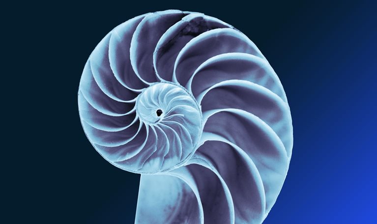 The key role of dynamic talent allocation in shaping the future of work