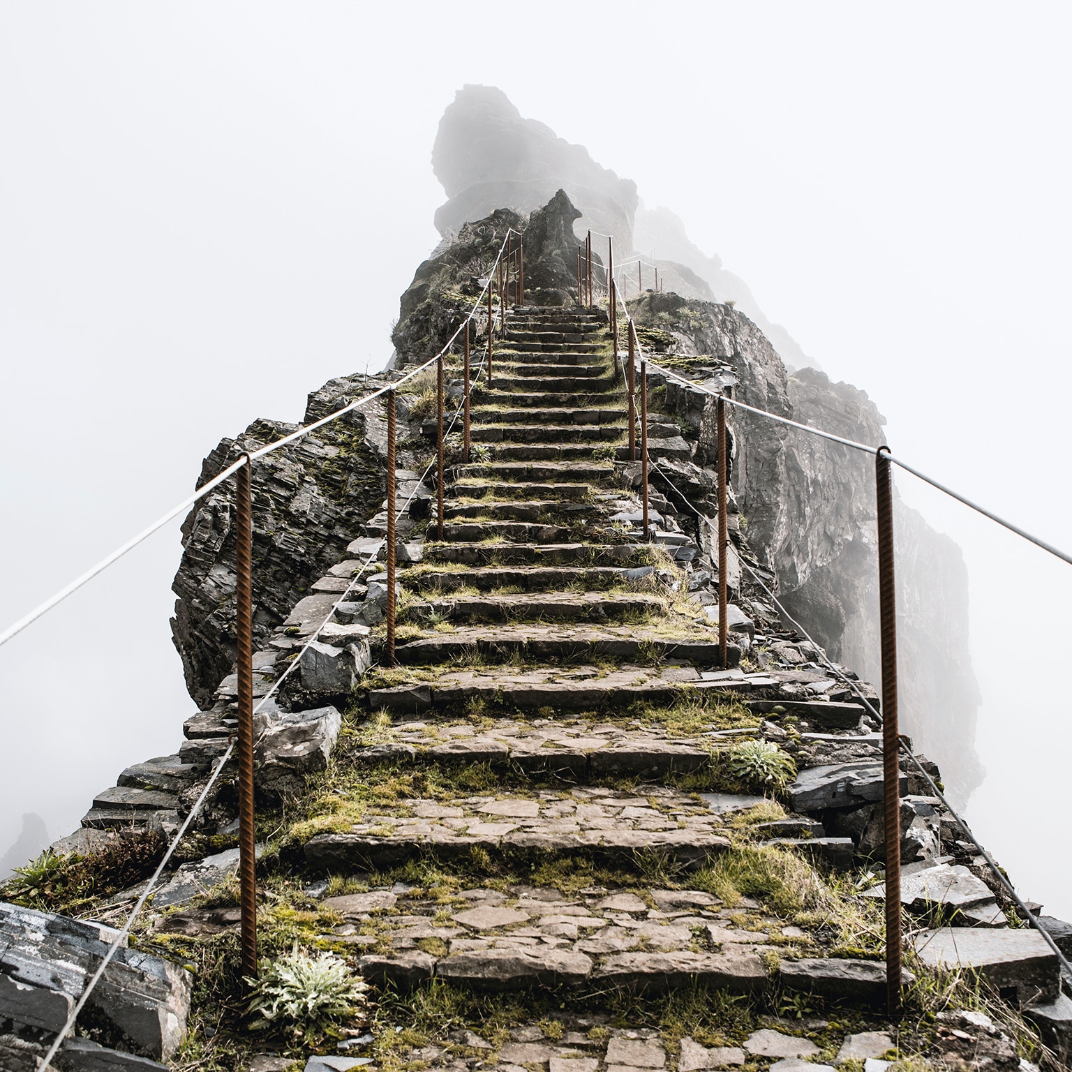 The search for purpose at work