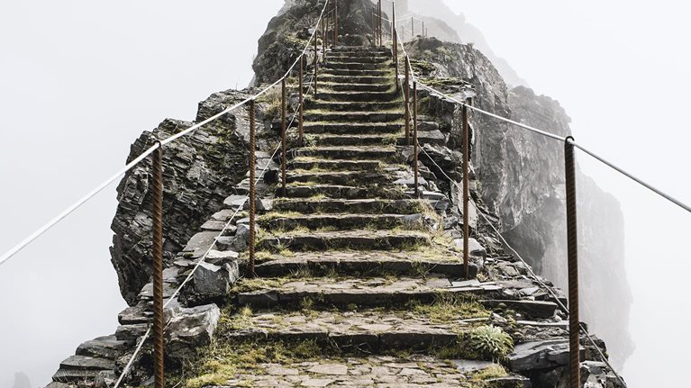 The search for purpose at work