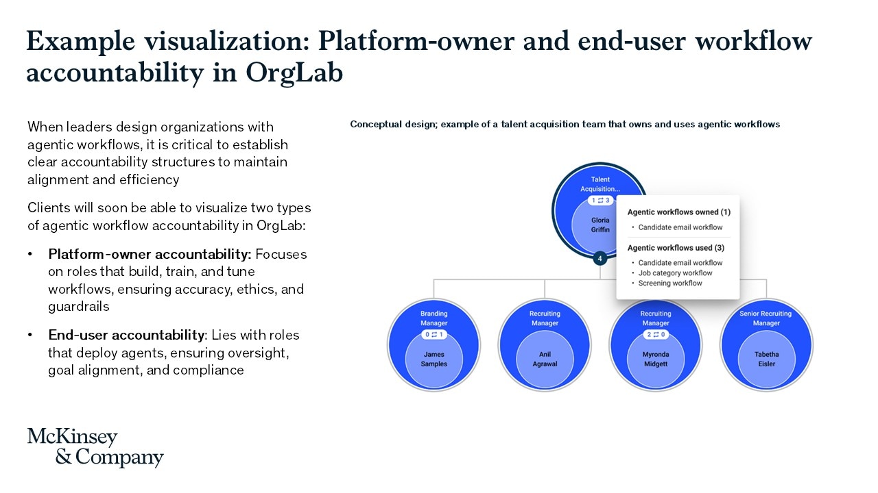 Example visualization platform-owner and end-user workflow accountability in OrgLab