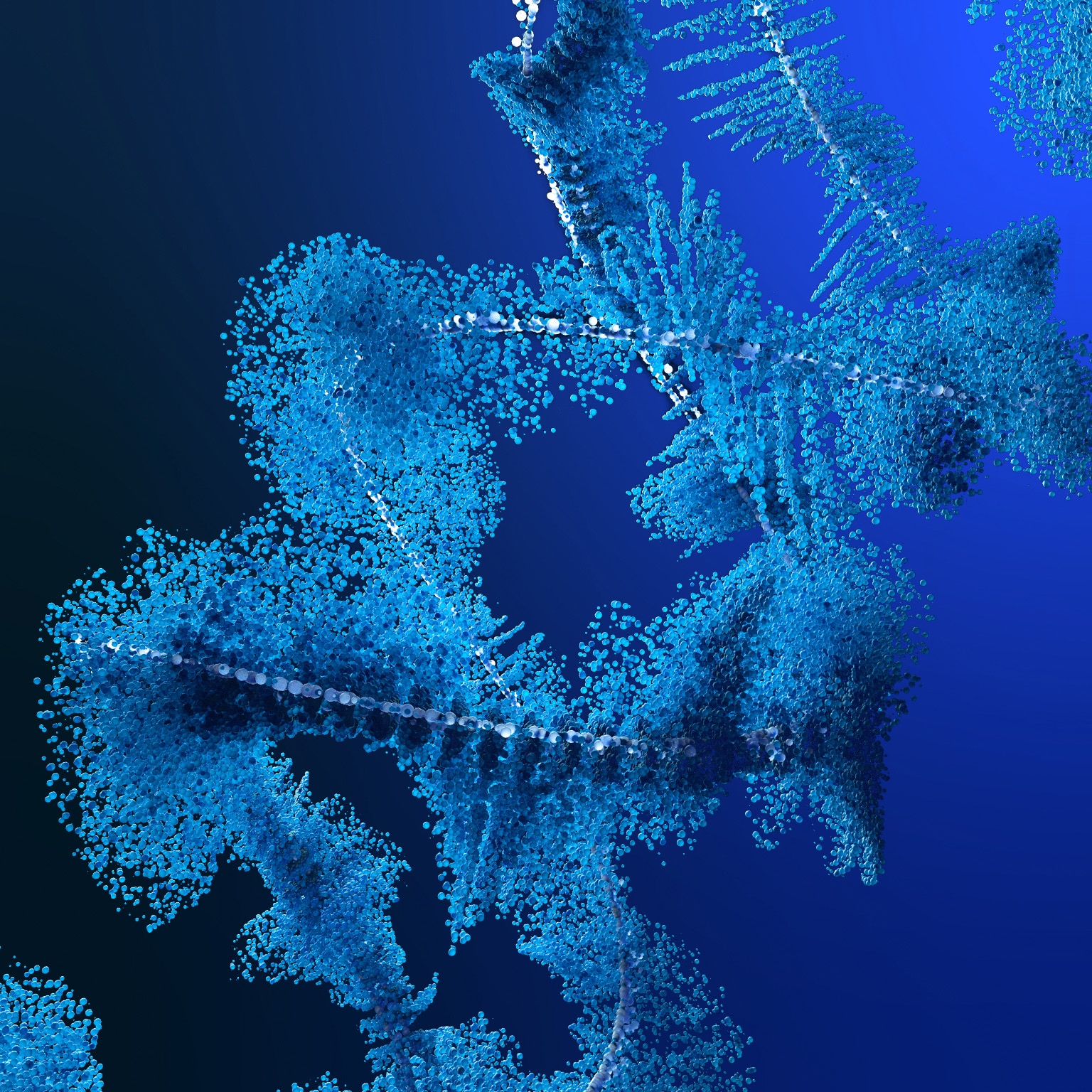 Digital image of blue ferns