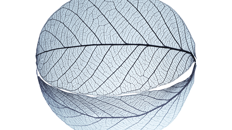 Banking imperatives for managing climate risk