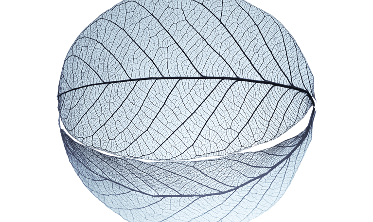 Banking imperatives for managing climate risk