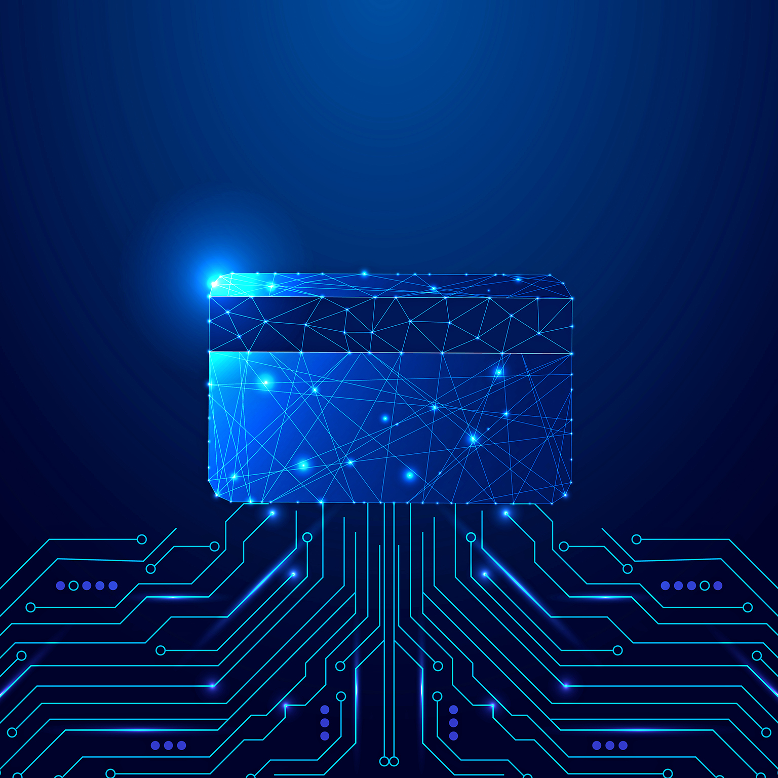 The image depicts a digital wireframe credit card connected to a glowing blue circuit board, representing online payments, fintech, and cybersecurity.