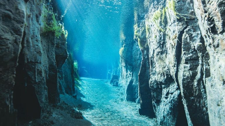 How banks can ease the pain of negative interest rates