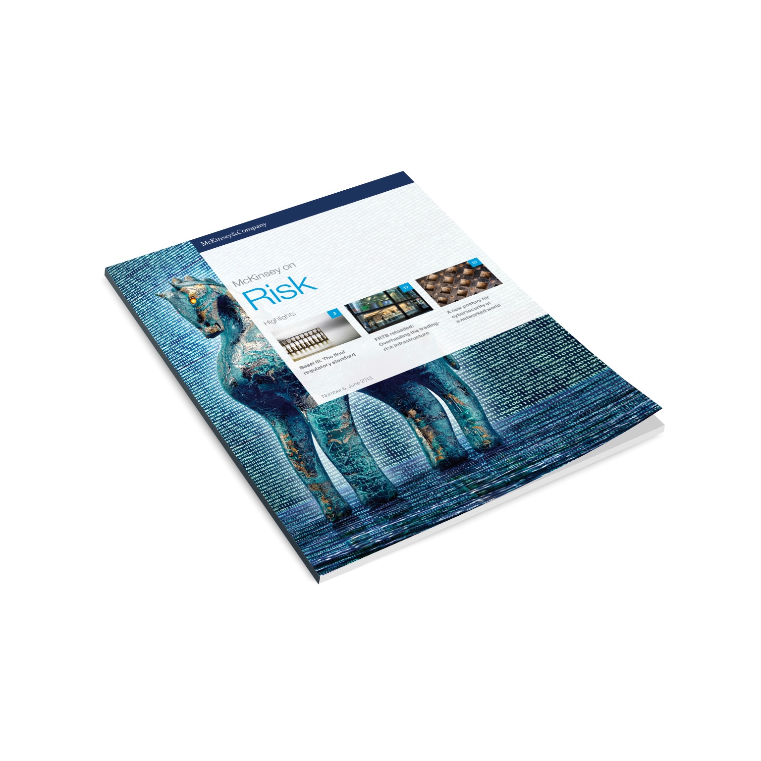 McKinsey on Risk, Issue 5