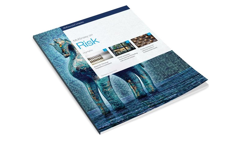 McKinsey on Risk, Issue 5