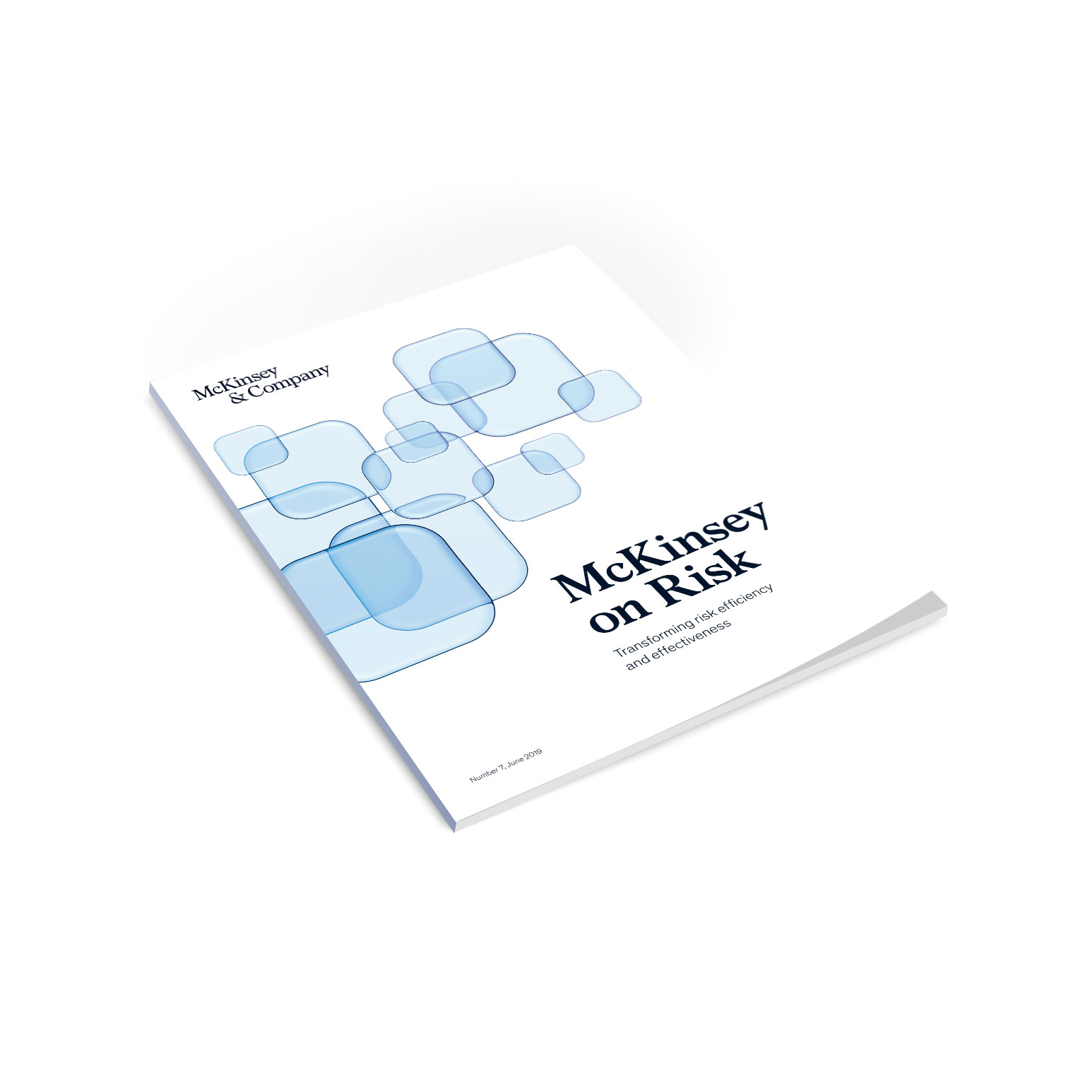 McKinsey on Risk, Issue 7