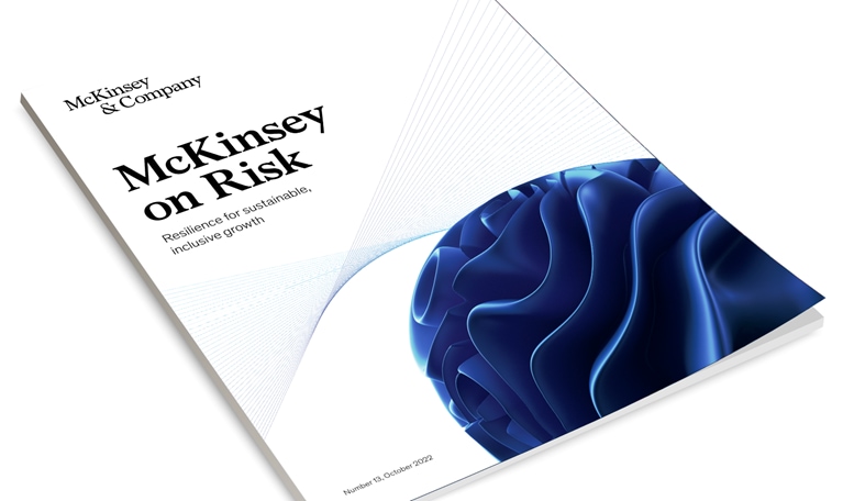 McKinsey on Risk