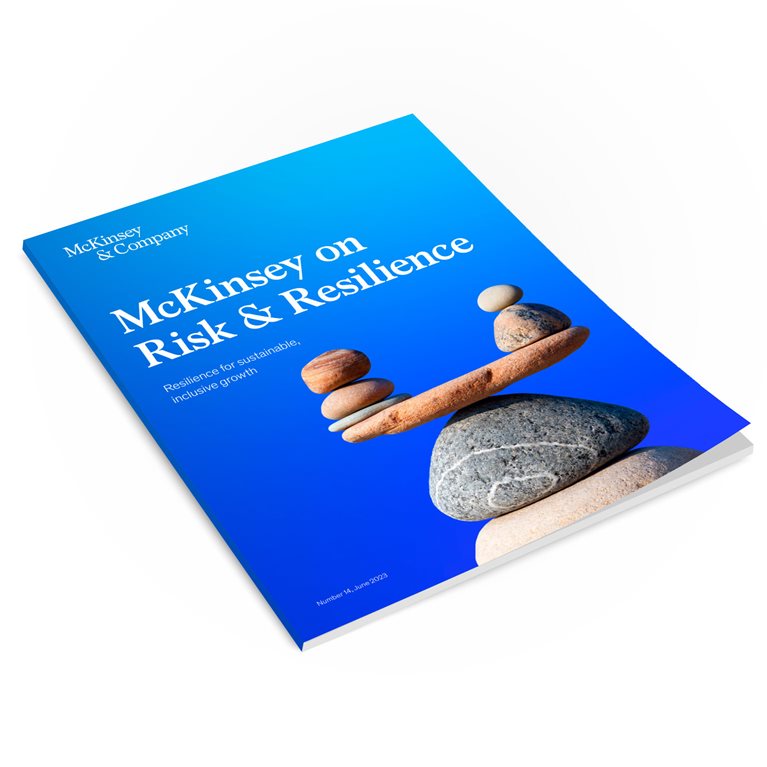 McKinsey on Risk Number 14