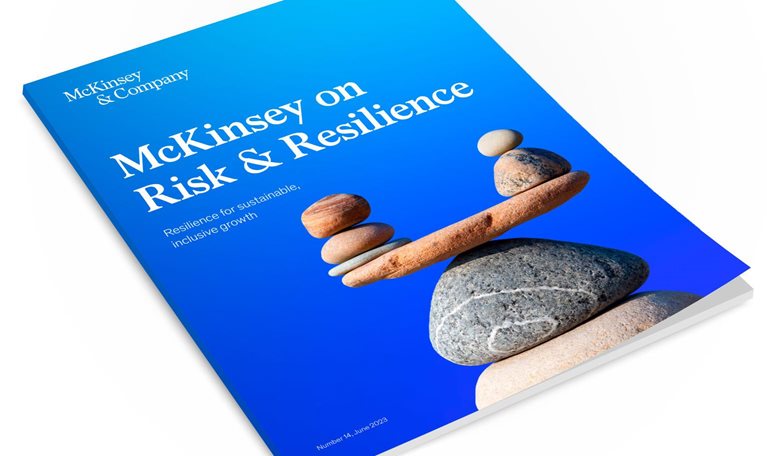 McKinsey on Risk Number 14