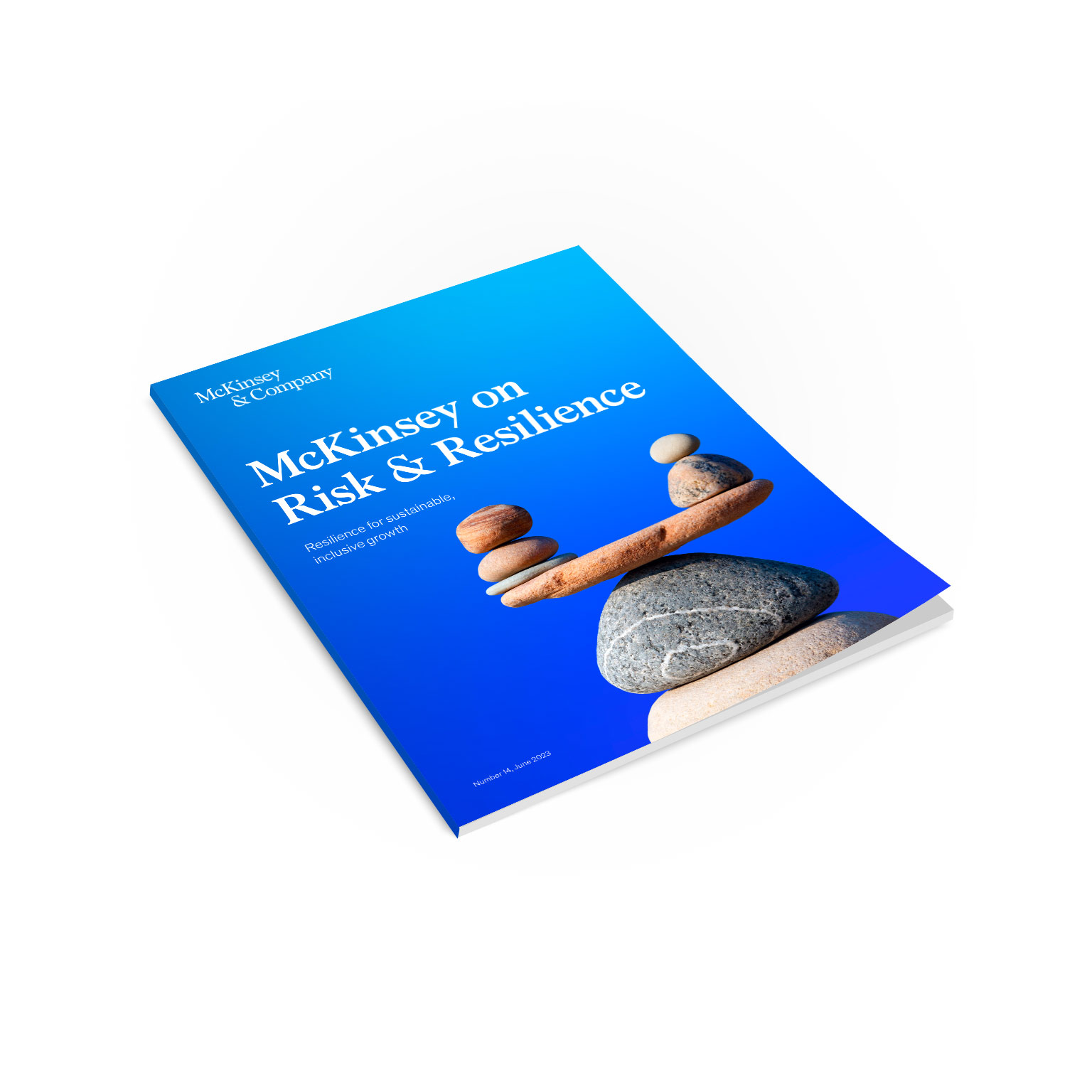 McKinsey on Risk Number 14