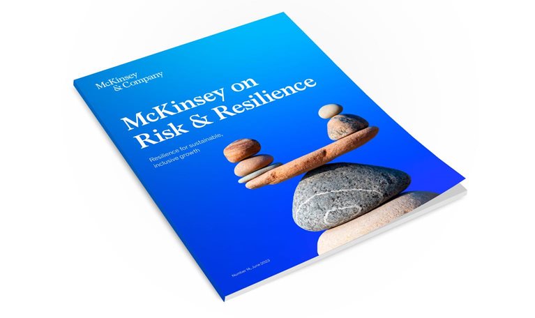 McKinsey on Risk Number 14