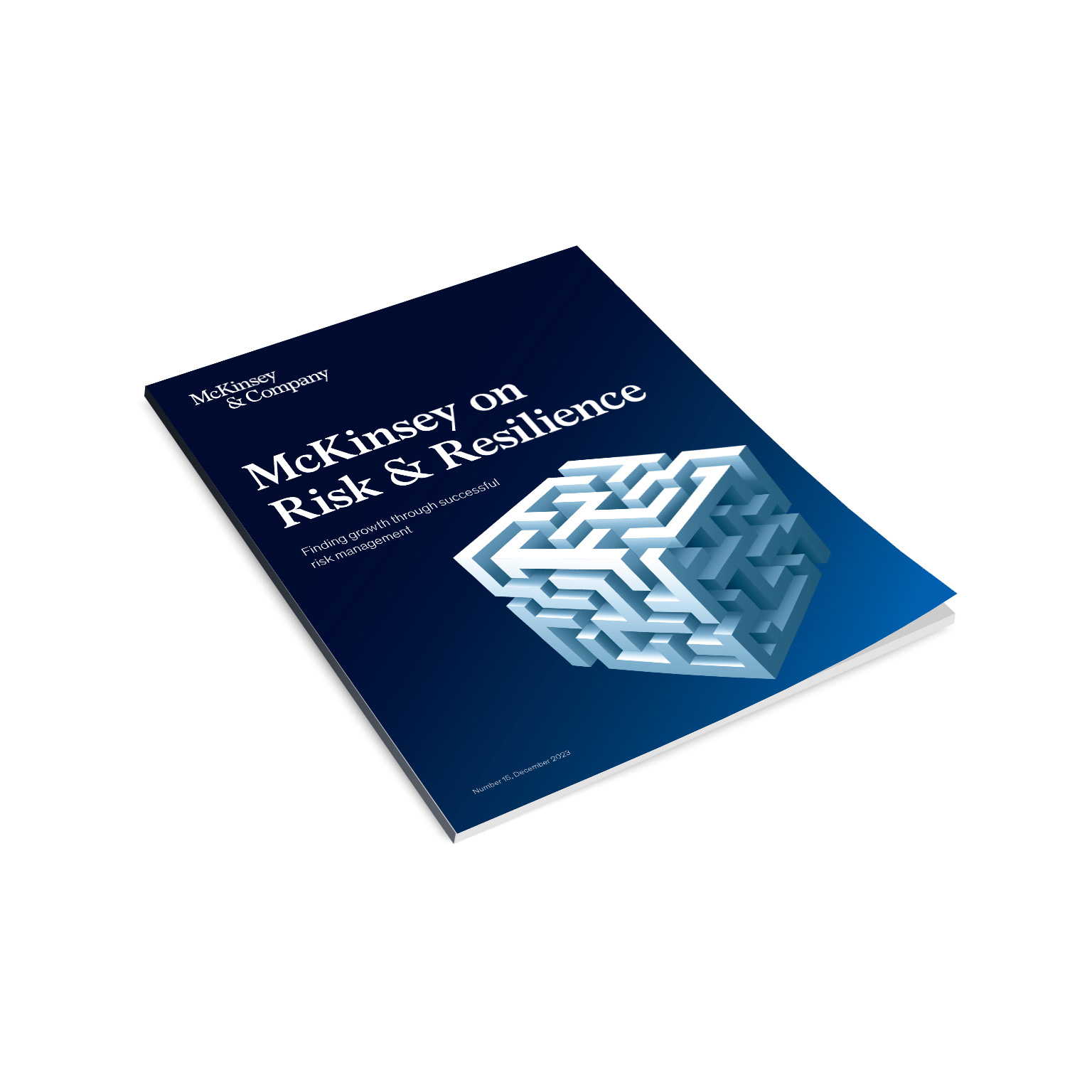 Book cover of McKinsey on Risk & Resilience Number 15