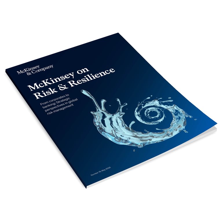 McKinsey on Risk Number 19 cover